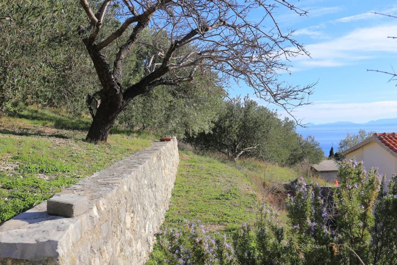 Apartments With A Parking Space Brela, Makarska - 18495 Exterior foto
